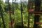 drky, zitky - Lanov park - foto 0