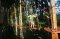 drky, zitky - Lanov park - foto 1
